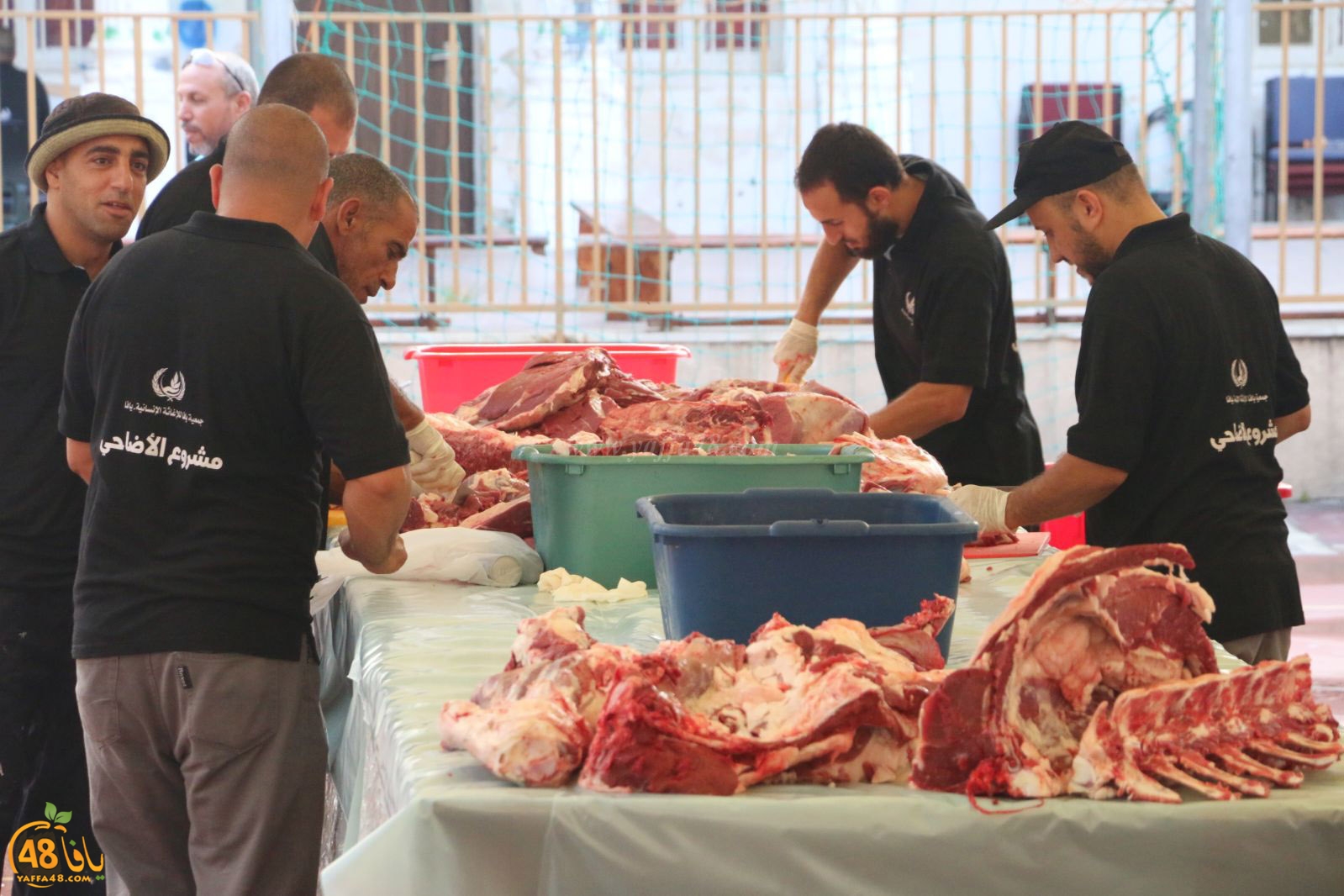 lo7om jam3iya u3 (26).jpg